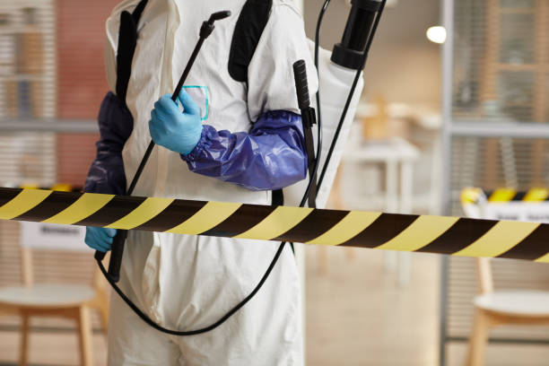 Professional Sewage Cleanup technician working in Lakeview, NY